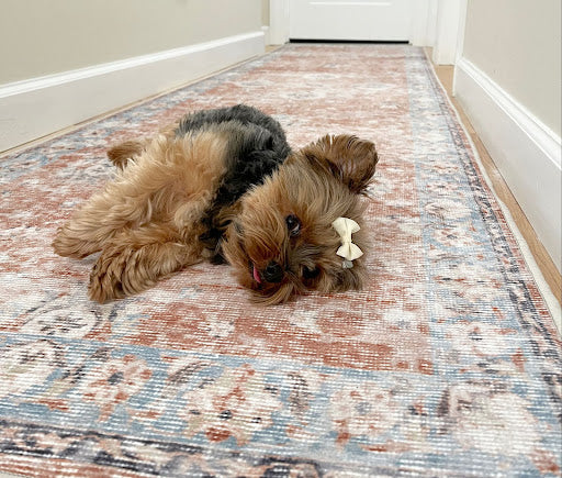 7 Best Non-Slip Runner Rugs for Your Hallway
