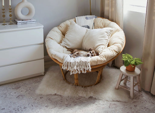 Design Tips From a Professional: Winter Design Trends