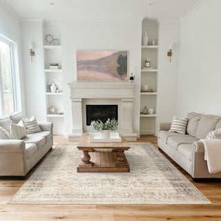 Best Washable Rugs