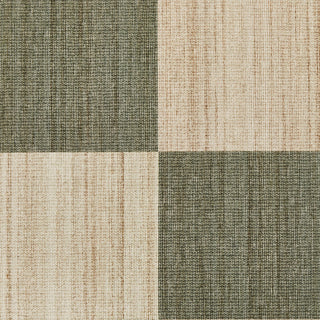 Troglodyte - Olive/Sable